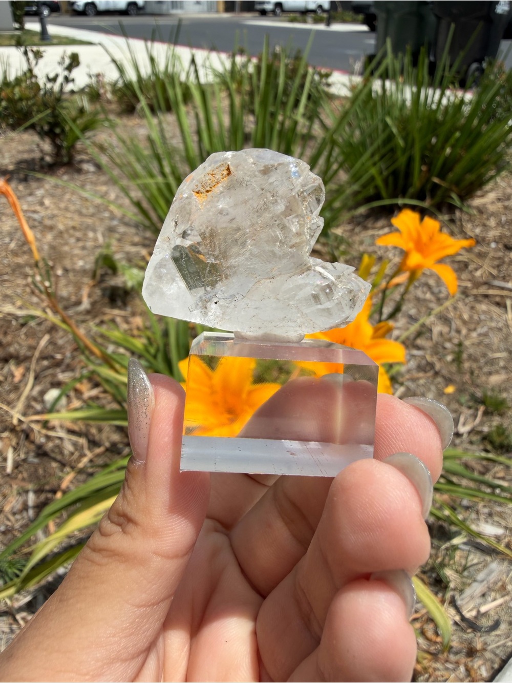Indian Himalayan Quartz Crystal Cluster Natural Mineral Specimen A613